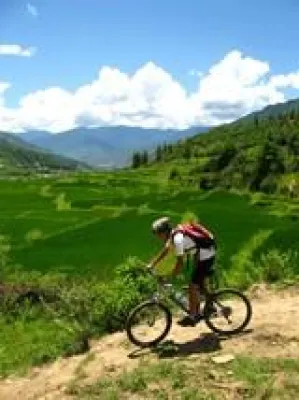 Bild: Ein seltsames Trio – Drahtesel, Donnerdrache und die deutsche Nationalelf