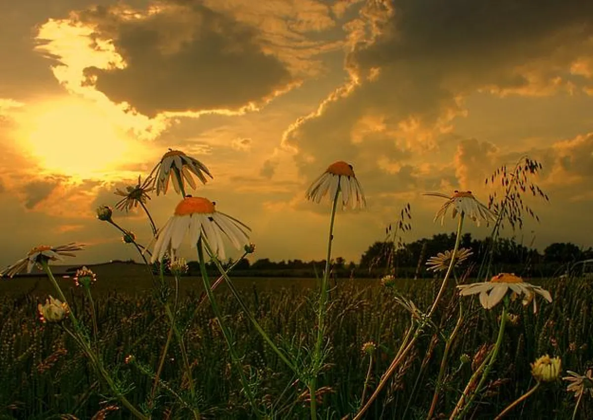 Die Welt gehört nicht uns