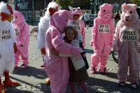 Bild: "Free Hugs": Aktivisten in Tierkostümen umarmen Menschen unter dem Motto "Meine Freunde esse ich nicht"