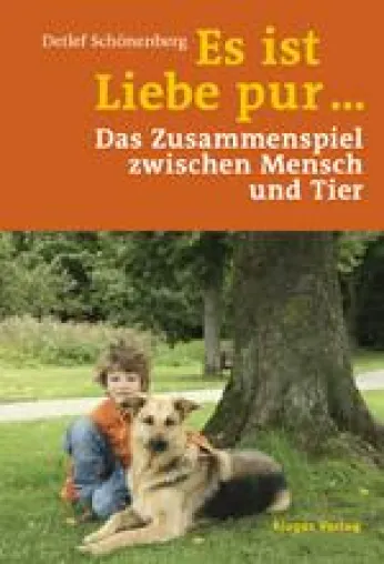 Bild: Geschenke mit Herz und Verstand - Bücher für spirituelle und kreative Menschen - portofrei zu Weihnachten