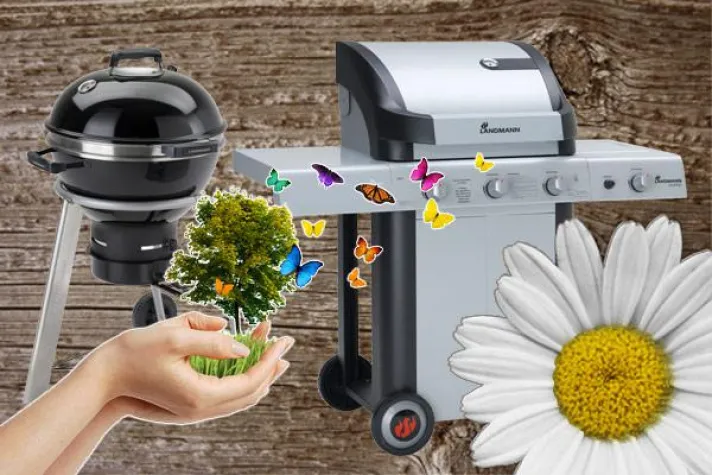 Bild: Ökologischer Gleichstand beim Grillen mit Holzkohle und Gas