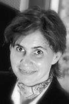 Bild: Domain-Autoaufkleber versus Pidplates