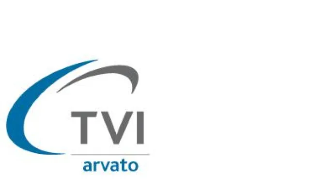 TVI launcht TV-Guide für SPIEGEL ONLINE Bild: TVI launcht TV-Guide für SPIEGEL ONLINE