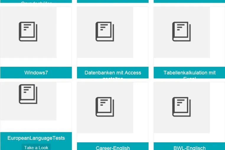 Bild: Bluepages will preiswertester Anbieter von Online-Assessments sein