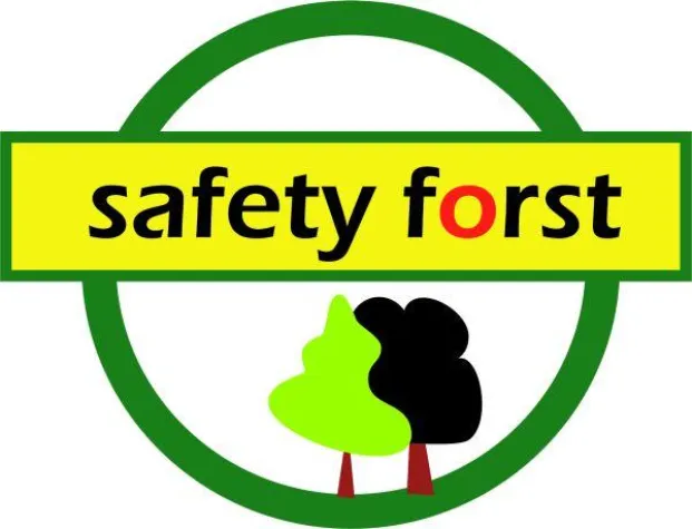 Bild: Verhaltensbasierte Sicherheit im Wald - Grundlagenseminar und Workshop