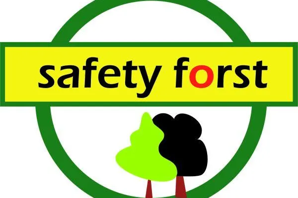 Bild: Verhaltensbasierte Sicherheit im Wald - Grundlagenseminar und Workshop