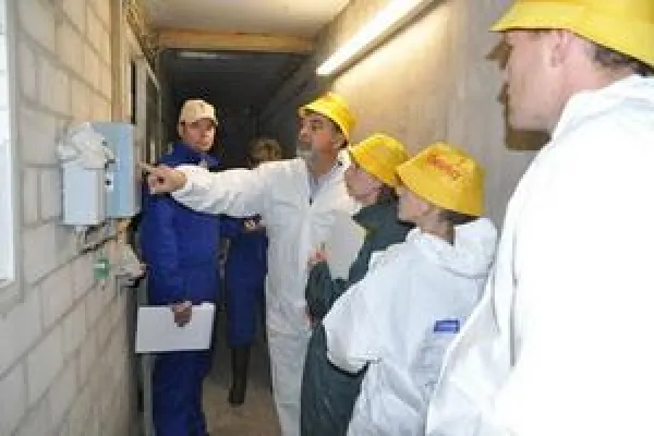 Bild: Schweinesignale - Ein Kurs, der jedem Fachmann zu empfehlen ist