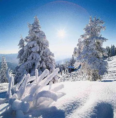 Bild: Winterurlaub in Bayern - Wintermärchen und Schneevergnügen