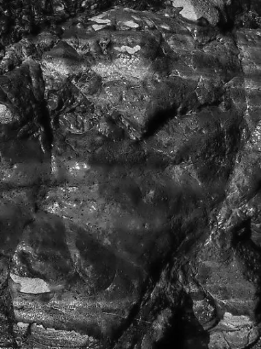 Bild: Stein und Wasser als Inspiration für Fotokunst - Brillante Schwarzweiß-Bilder