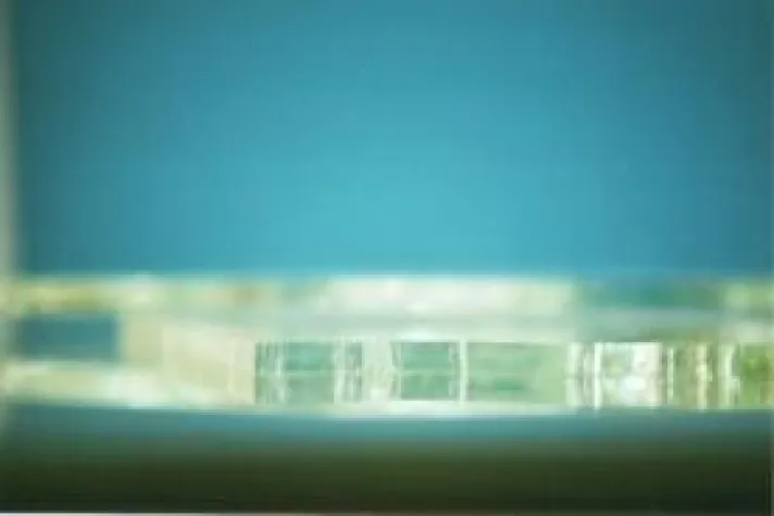 Bild: »Berliner Liste« vom 13. - 16. September 2012