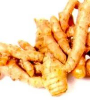 Bild: Welchen Einfluss hat Curcuma longa L. auf Krebs beeinflussende Faktoren?