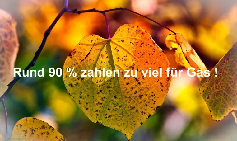 Bild: NordseePower: Wie wechsele ich eigentlich vom Grundversorger zu einem anderen günstigeren Anbieter?