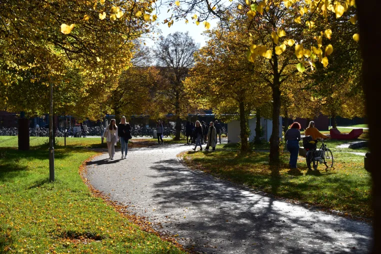 Bild: Über 220 Forschende aus 49 Ländern bei Netzwerktagung in Bayreuth