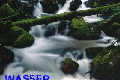 ZARO Biotec – Wasserfiltersysteme im Vergleich: Umkehrosmose, Aktivkohlefilter, KDF-Filter, Destillation Bild: ZARO Biotec – Wasserfiltersysteme im Vergleich: Umkehrosmose, Aktivkohlefilter, KDF-Filter, Destillation