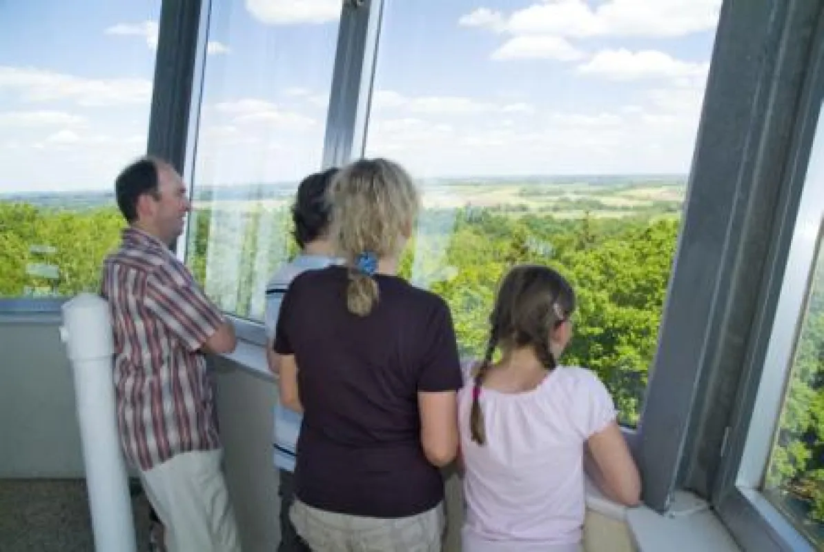 Ausblick über die Maritime Landschaft Unterelbe