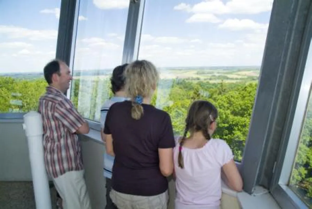 Ausblick über die Maritime Landschaft Unterelbe