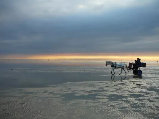 Bild: Cuxhaven: Wo die Natur das Sagen hat