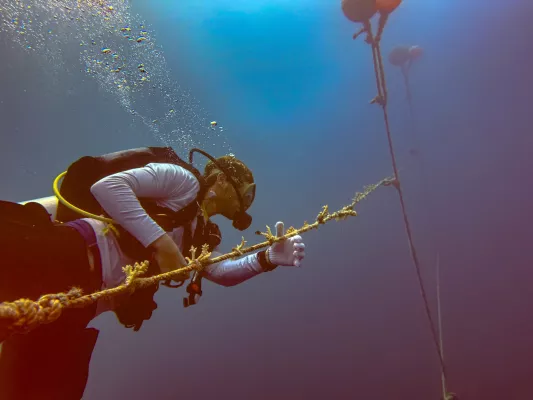 Bild: Das Nova Maldives setzt auf innovatives Umweltprojekt: „Floating Nursery“ im Korallen-Krankenhaus
