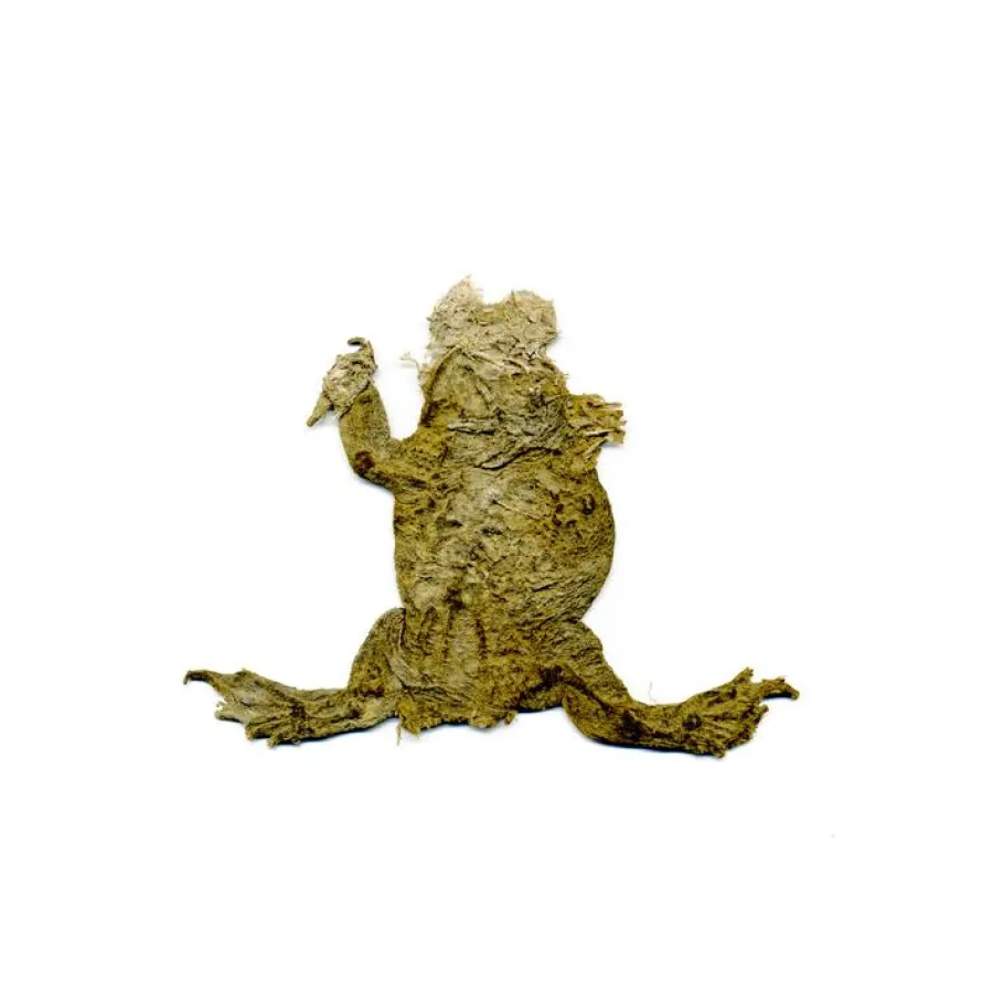 Fred Hüning, aus der Reihe Krieger, c-print, 2008