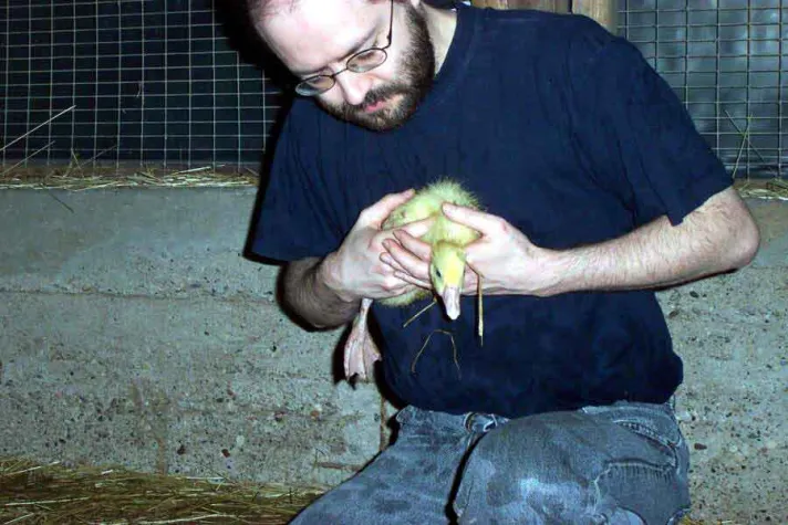 Bild: Leben retten ist strafbar - Oberlandesgericht bestätigt Urteil gegen Tierbefreier