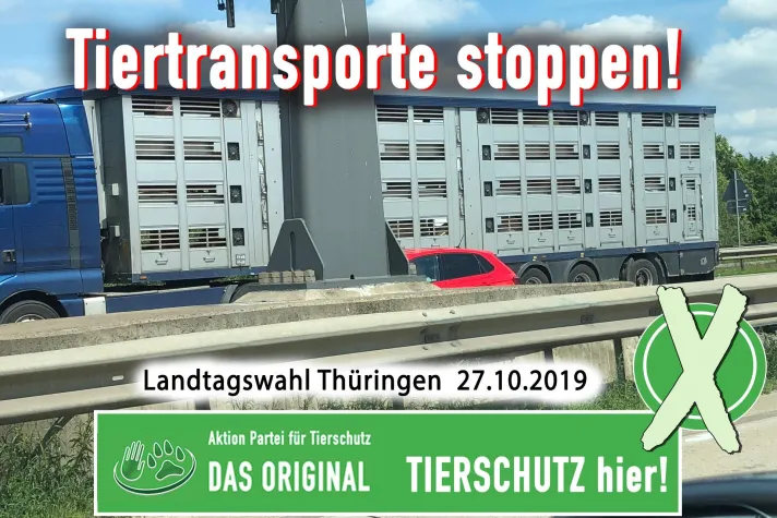 Bild: Tiertransporte stoppen
