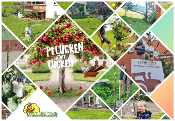 Bild: Digital und ökologisch: Bauernhofurlaub.de pflanzt über 60 Apfelbäume in drei Ländern