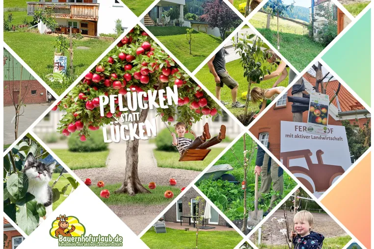 Bild: Digital und ökologisch: Bauernhofurlaub.de pflanzt über 60 Apfelbäume in drei Ländern