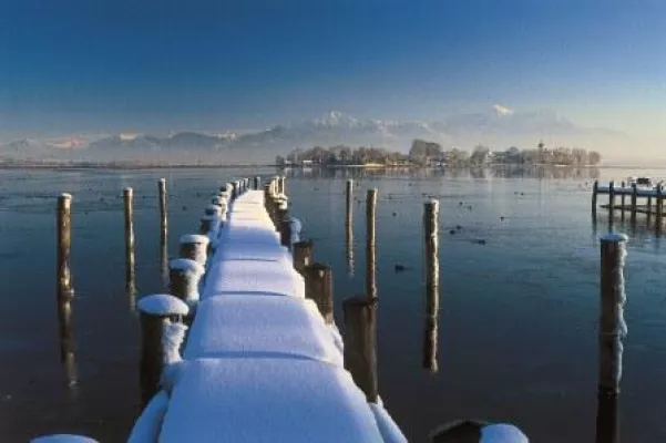 Bild: Schnattern, schnabeln & trompeten - Vogelbeobachtungen im Winterquartier Prien am Chiemsee