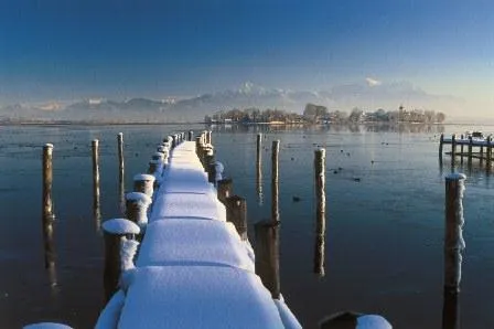 Bild: Schnattern, schnabeln & trompeten - Vogelbeobachtungen im Winterquartier Prien am Chiemsee