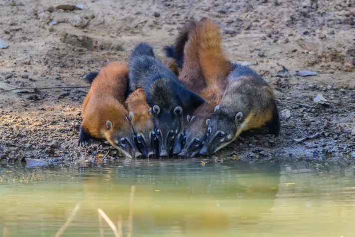 Bild: Die Kraft des Individuums