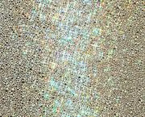 Bild: UNIVERSAL GROUND kuratiert von Wayne Baerwaldt