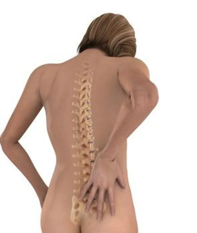 Volkskrankheit  ²Rückenschmerzen²