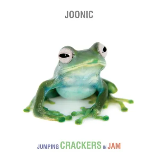 Joonic - Poprock der guten Alten Zeit Bild: Joonic - Poprock der guten Alten Zeit