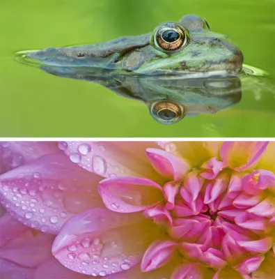 Bild: Kleine Dinge ganz groß: 1-tägige Fotoseminar „Makrofotografie“ in Hannover