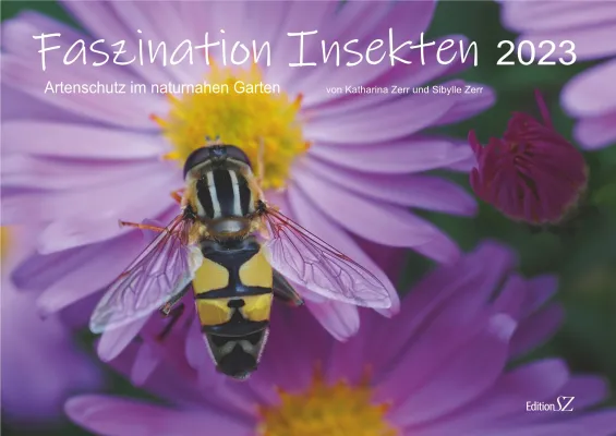 Bild: Fotokalender 2023: Faszination Insekten: Artenschutz im naturnahen Garten