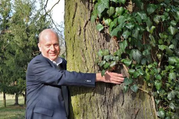 Bild: Denn das Gute liegt so nah - Heimisches Holz als Alternative zu Tropenholz