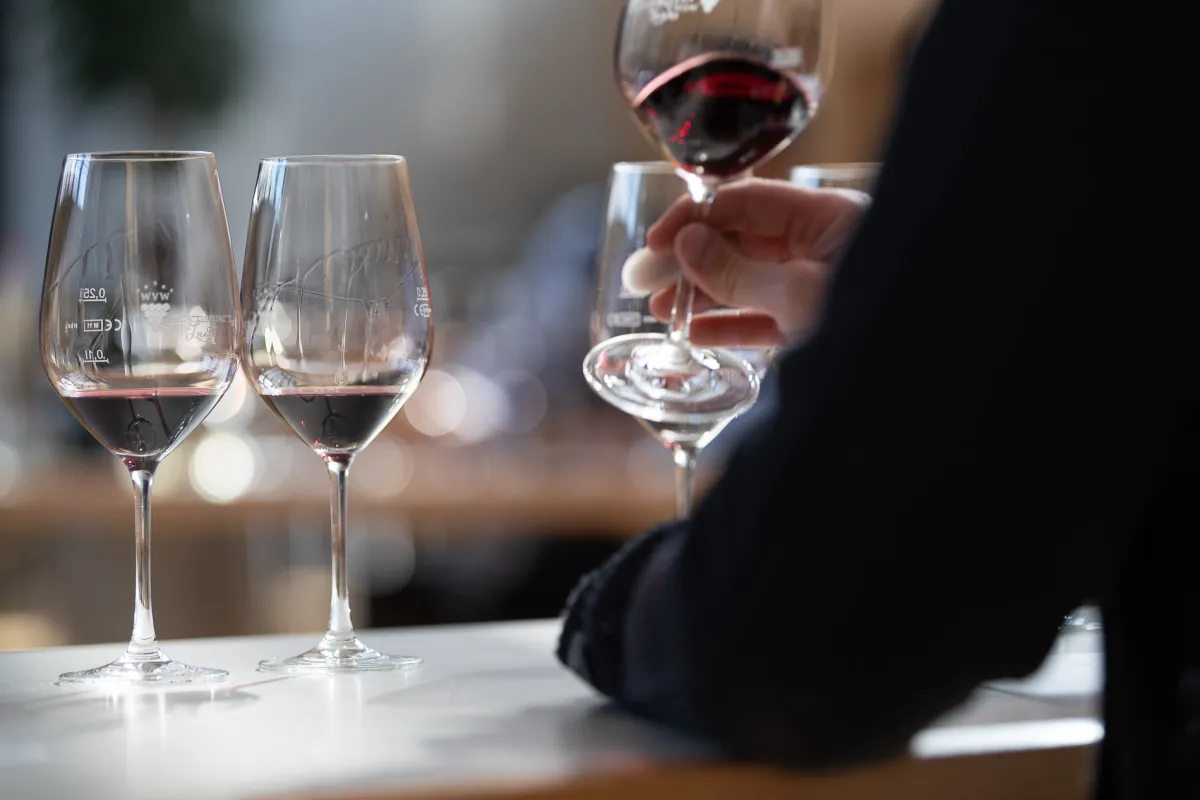 Vaihinger Löwe: Welcher Lemberger, Blaufränkisch, Kékfrankos und Frankovka ist der Beste? (© Bettina Meister)