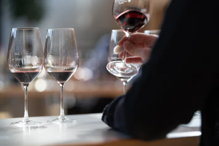 Bild: Der Lemberger-Wettbewerb Vaihinger Löwe wird 30