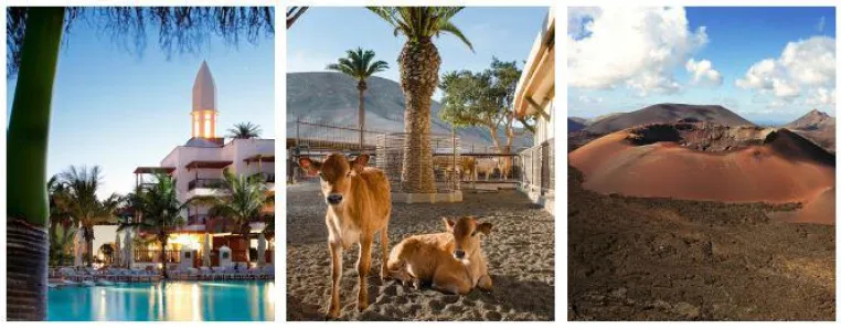 Bild: Auf Entdeckungstour im Princesa Yaiza Suite Hotel Resort