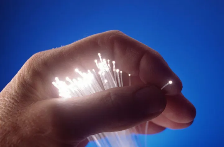 Bild: Forschung schafft Arbeitsplätze