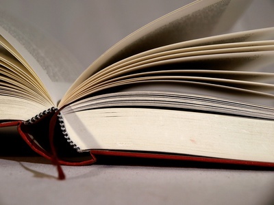 Subheadline (© BiBa - Fotolia.com)