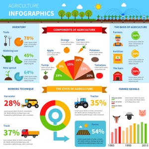 Visual Content (© Macrovector - Fotolia.com)
