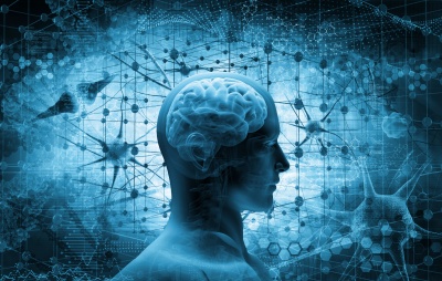 analytisches Denken (© adimas - stock.adobe.com)